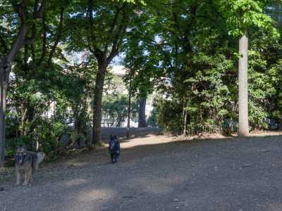 Ci sono due diverse aree sgambettamento e quella dedicata agli animali pi� grandi si estende su una sorta di collinetta con un passaggio circondato da alberi che creano molta ombra